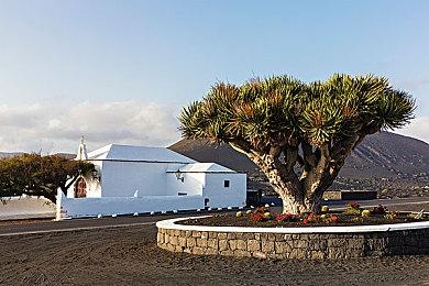 《铁拳8》全新预告 展示女性角色Alisa