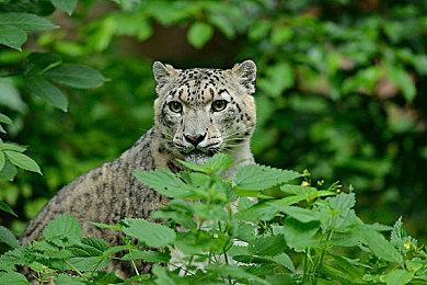 Team Ninja：Xbox在日本显著增长 但任天堂太强了